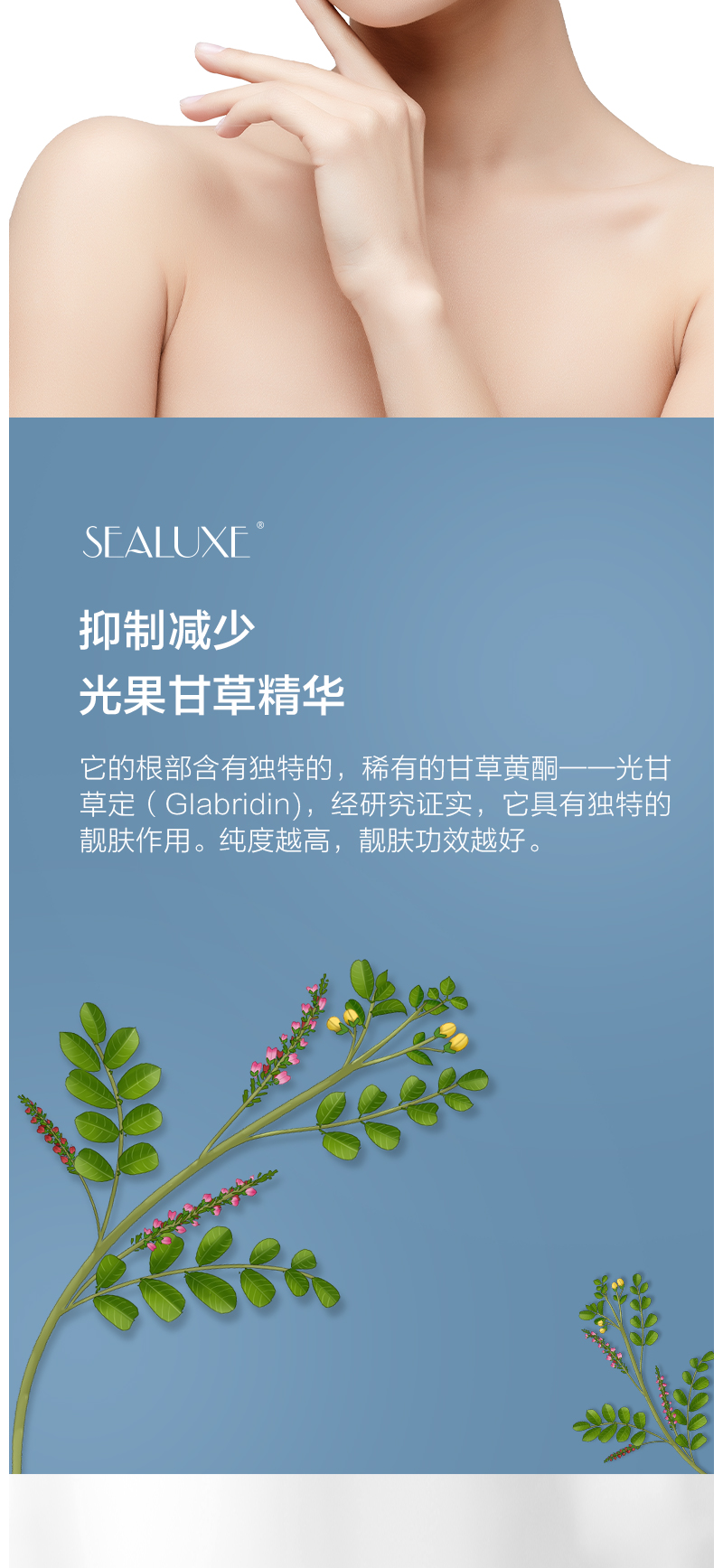 https://imgmall.lyilife.com/lysc/upload/editor/2020/11/30/c923c1ac0dce9a4c9a518a911f44acb2.jpg